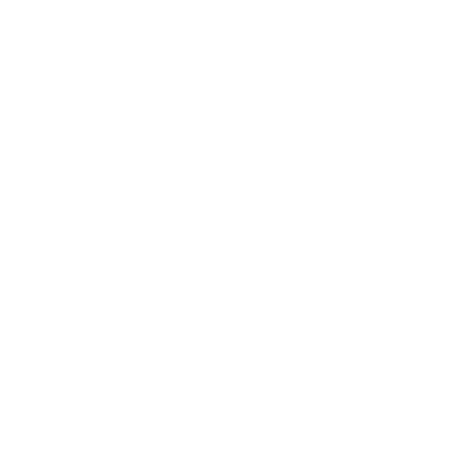 TikTok icon